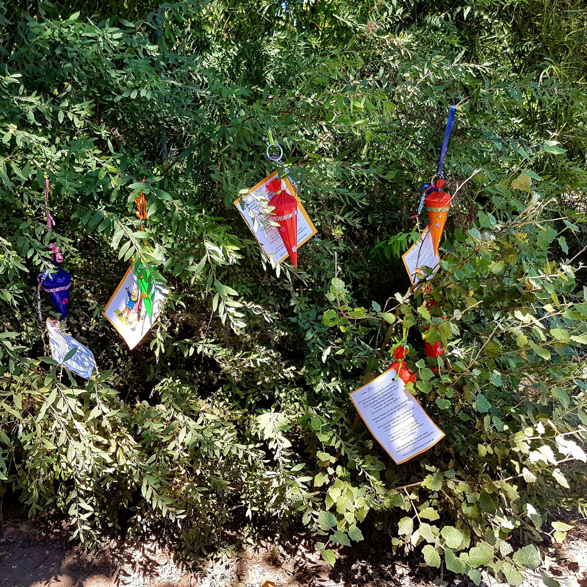 Busch mit Zuckertüten