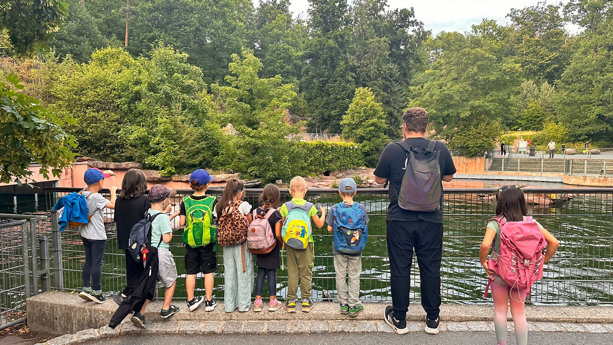 Seelöwenbecken