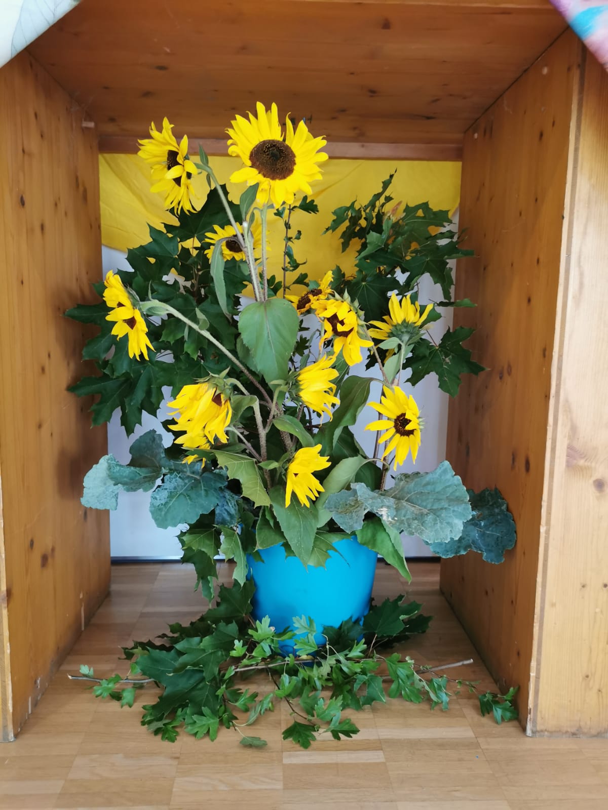 Sonnenblumen