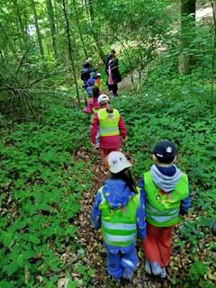Waldspaziergang 25