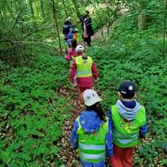 Waldspaziergang 25